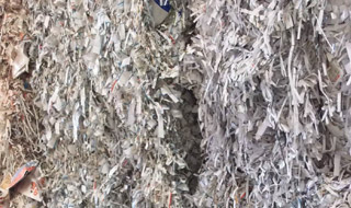 Fly-leaf Shavings (Magazine Trimmings)